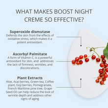 Load image into Gallery viewer, Boost Night Creme
